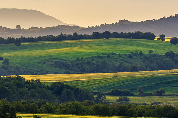 可降解的紙膠帶是怎么煉成的？